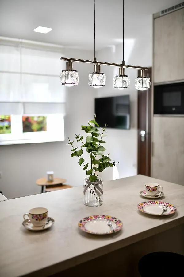 Brand New Apartment 
